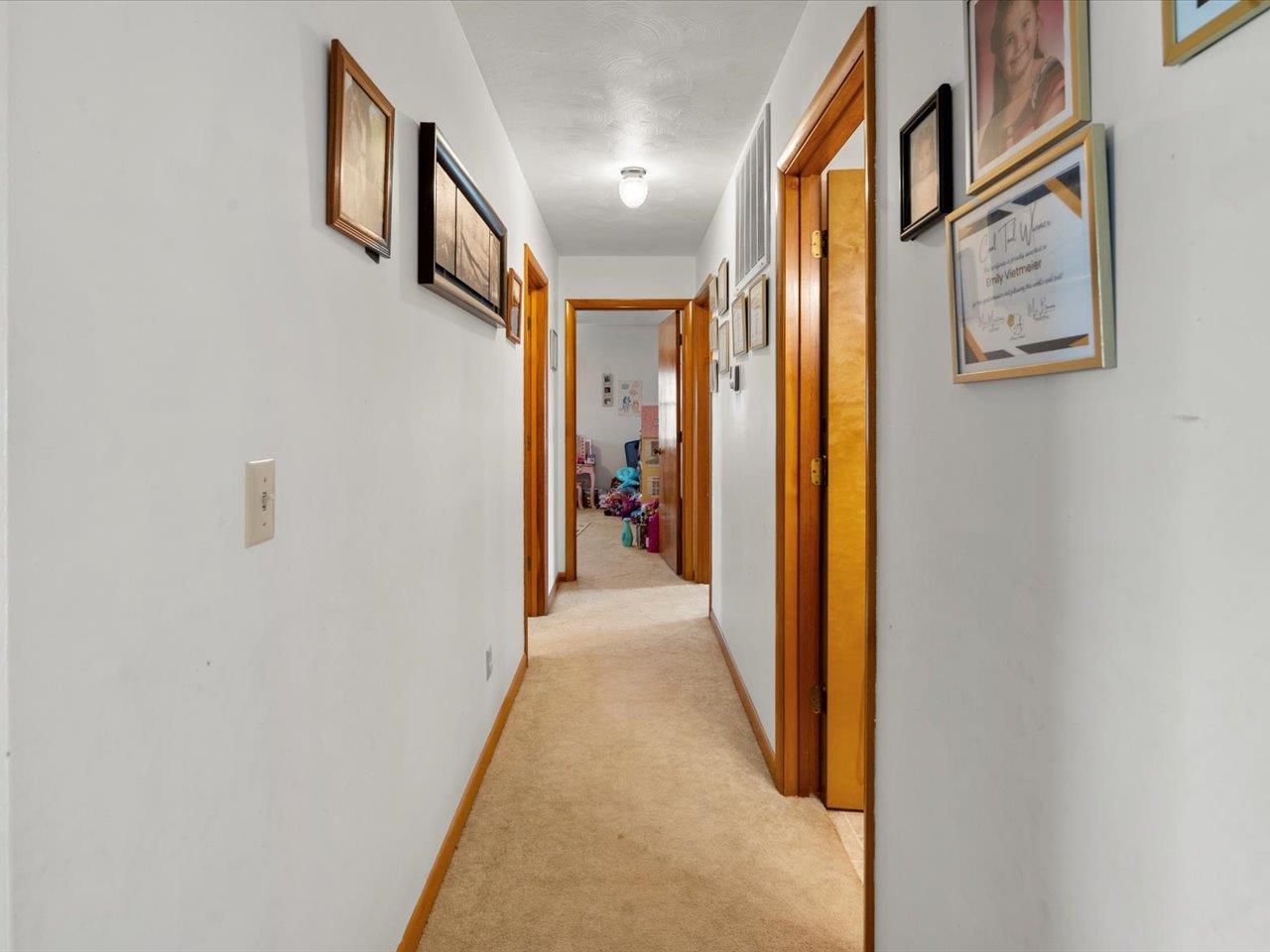 205 West Boundary Road Creal Springs, IL 62922 - Photo 16 of 25