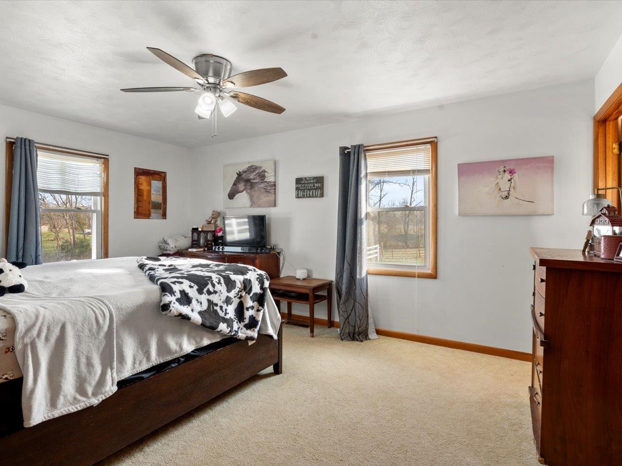 205 West Boundary Road Creal Springs, IL 62922 - Photo 17 of 25