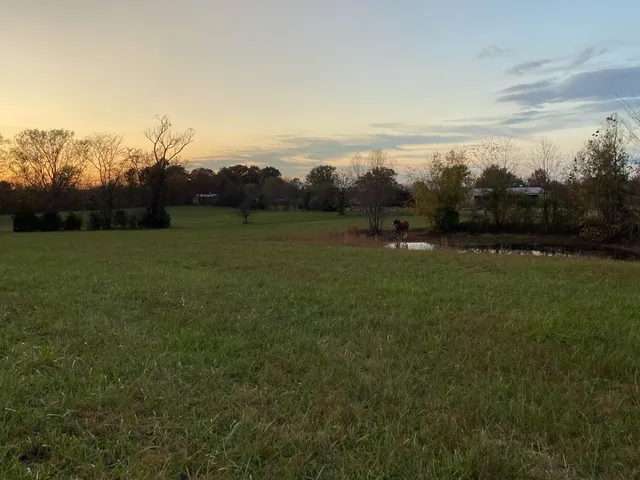 $285,000 | 205 West Boundary Road, Creal Springs, IL 62922