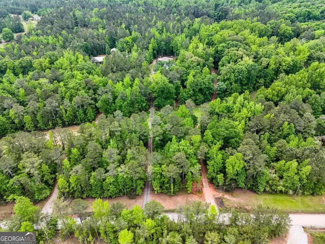 $717,400 | 1337 Green Street, Concord, GA 30206