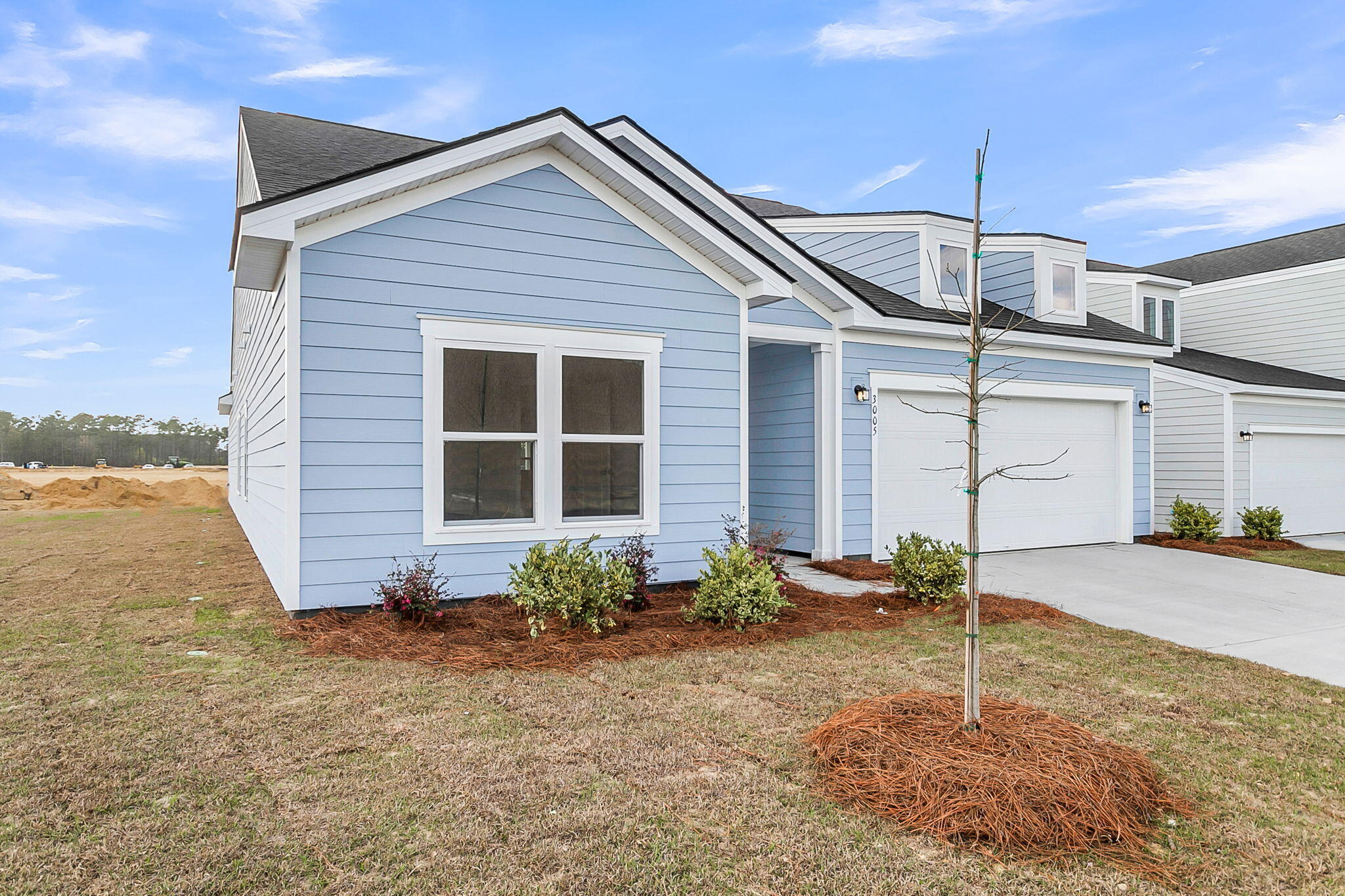 3005 Macaron Court Ravenel, SC 29470 - Photo 4 of 41 CREM - 3005 Macaron-4