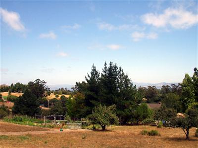 2449 Burnside Road Sebastopol, CA 95472 - Photo 1 of 7 a view of a yard with a tree