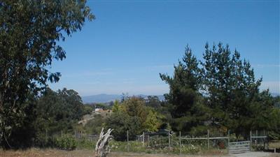 2449 Burnside Road Sebastopol, CA 95472 - Photo 7 of 7 a backyard of a house with lots of green space