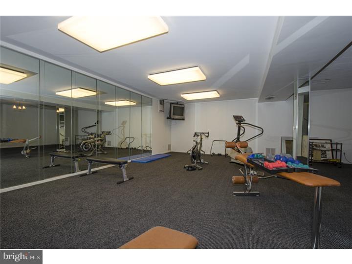 517 Righters Mill Road Penn Valley, PA 19072 - Photo 14 of 23 Basement - Finished