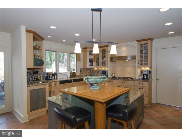 517 Righters Mill Road Penn Valley, PA 19072 - Photo 10 of 23 Kitchen