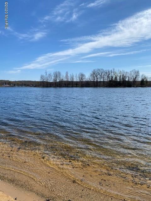 7255 North Poplar Road Free Soil, MI 49411 - Photo 26 of 31 beach