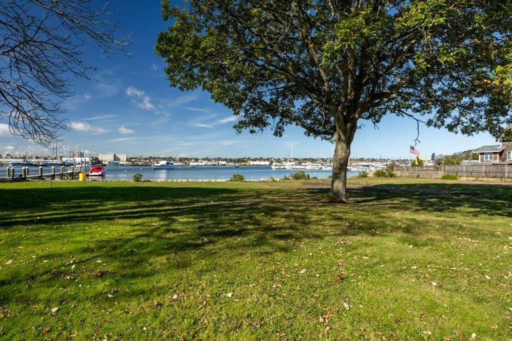 164 Main Street Fairhaven, MA 02719 - Photo 5 of 42 a view of a large trees with lots of green space