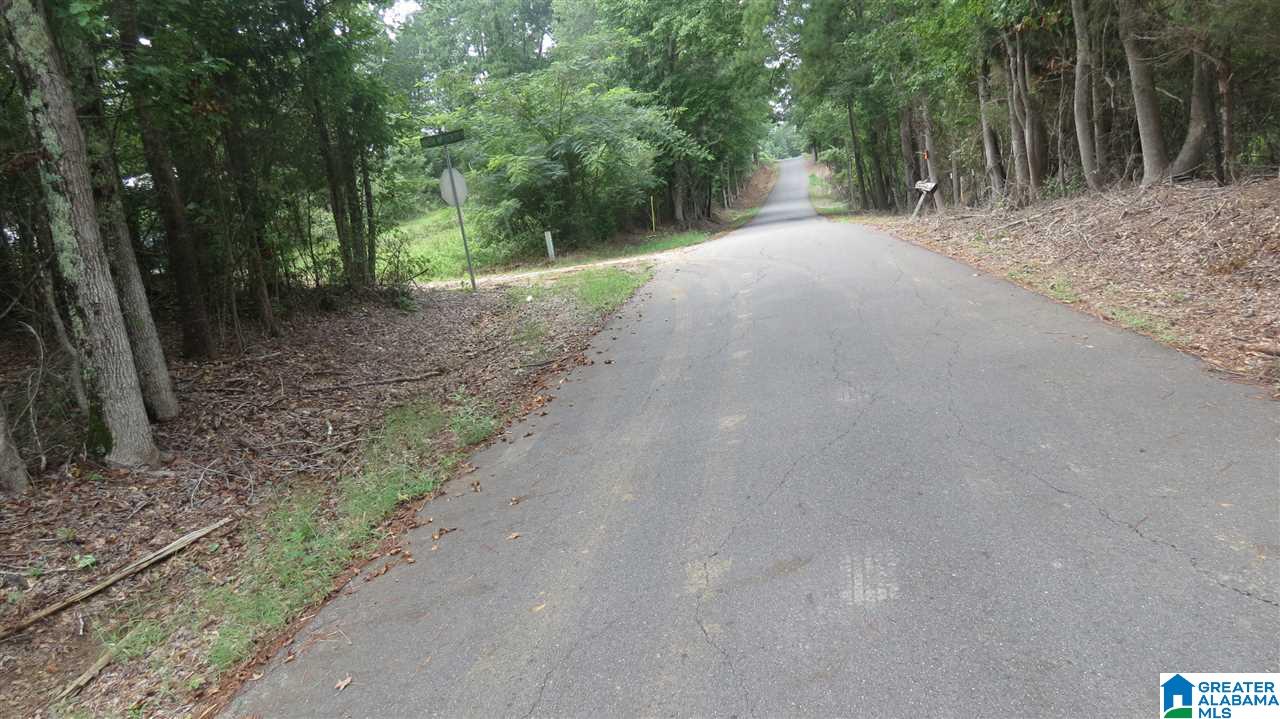 15525 New Asia Road Cottondale, AL 35453 - Photo 18 of 18