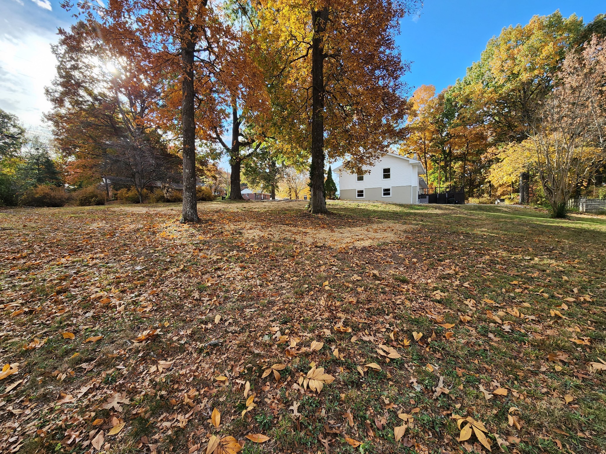 200 Shady Hill Road Dickson, TN 37055 - Photo 34 of 34 a big yard with large trees