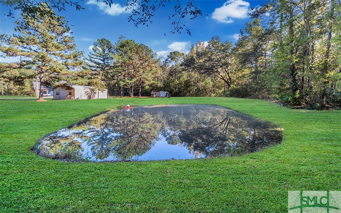 3324 Little McCall Road Rincon, GA 31326 - Photo 42 of 45 Pond