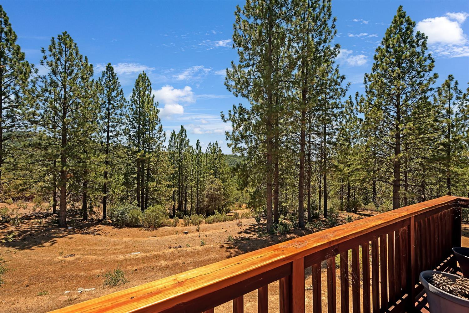 12336 Scott Road Mountain Ranch, CA 95246 - Photo 56 of 70