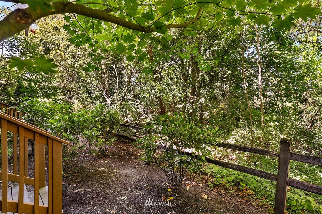 21351 11th Drive Southeast Bothell, WA 98021 - Photo 30 of 33 a picture of tree