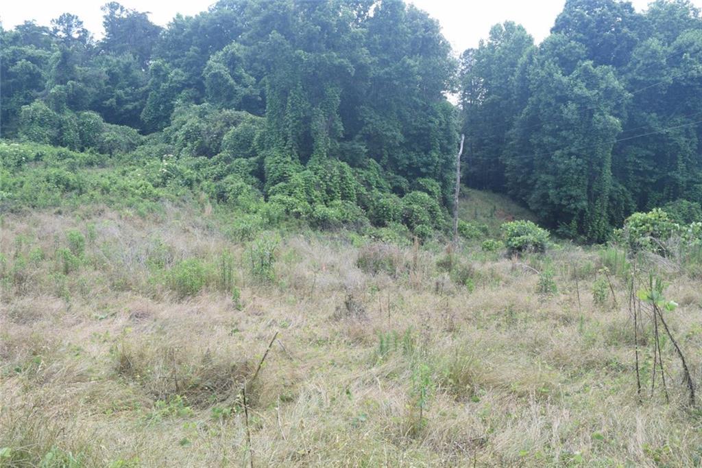 792 Lower Dowda Mill Road Jasper, GA 30143 - Photo 4 of 35