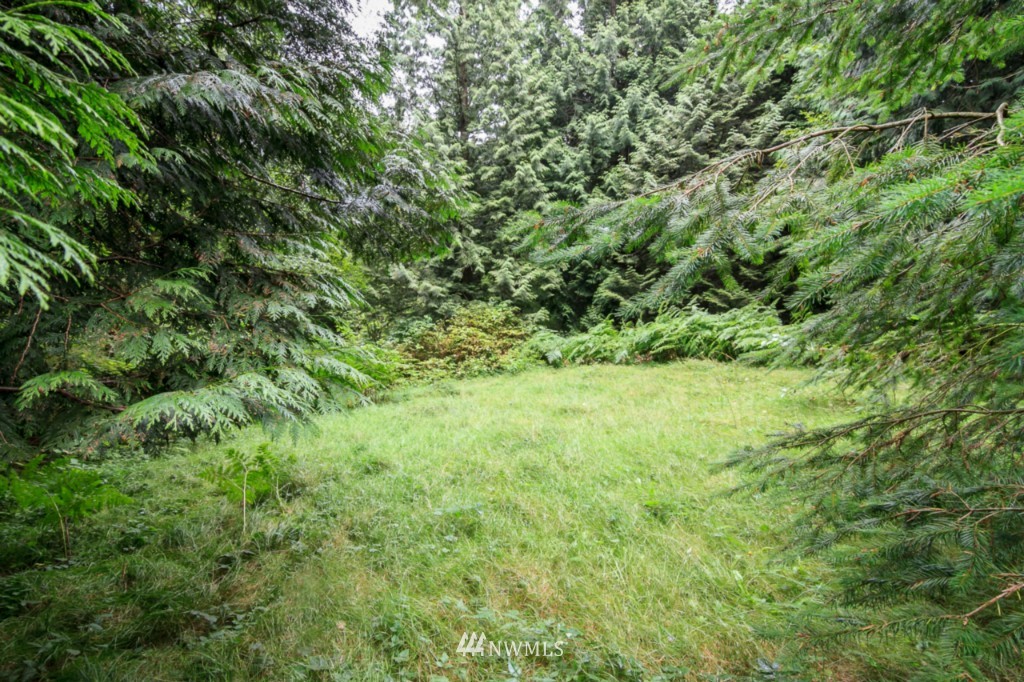 3554 Loomis Trail Road Blaine, WA 98230 - Photo 19 of 23 a view of a lush green space