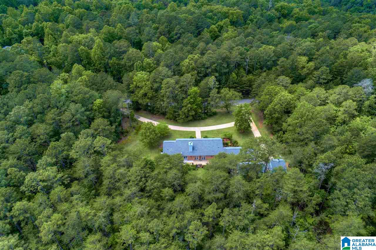 4201 Cliff Drive Jasper, AL 35504 - Photo 30 of 36