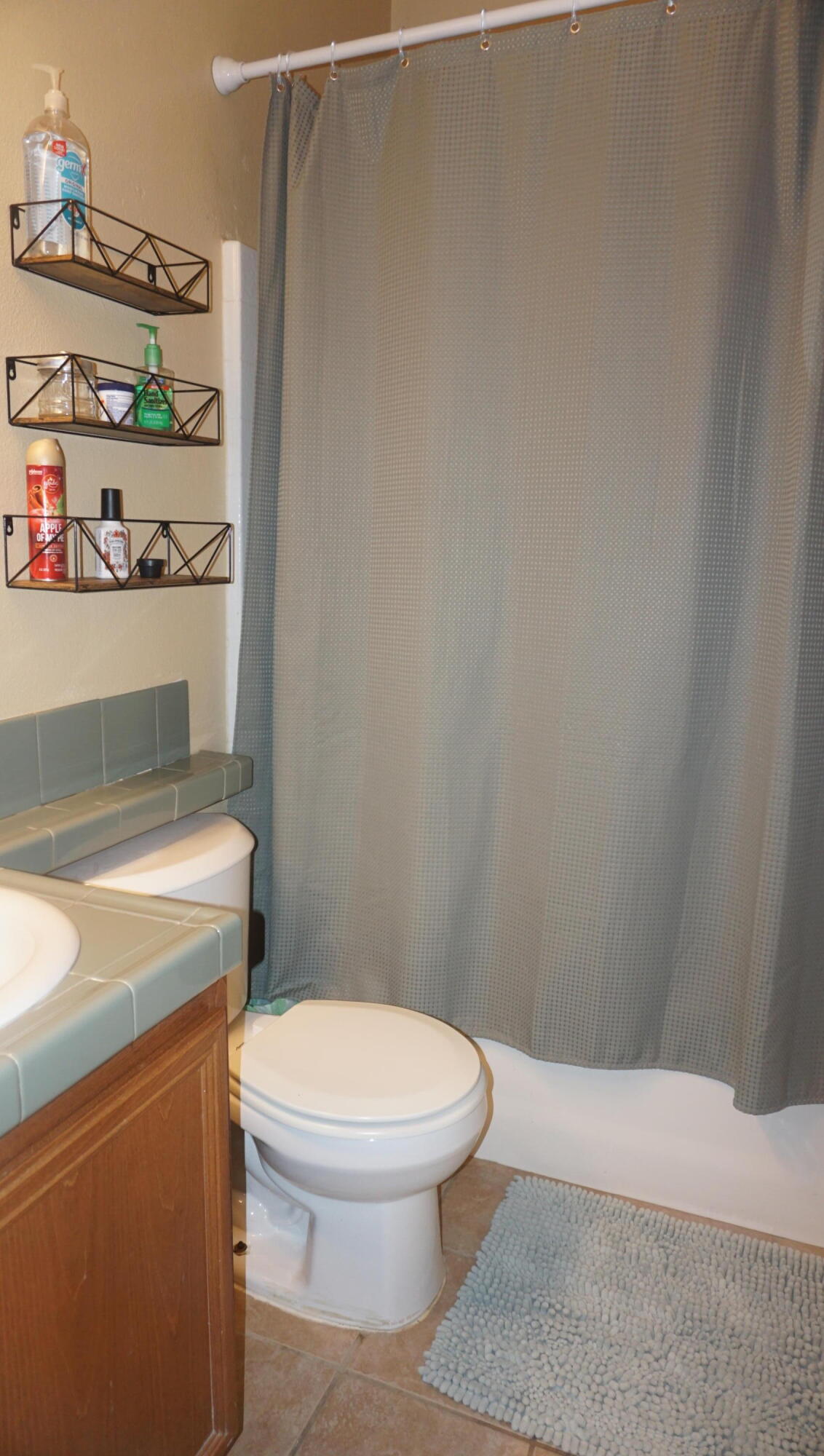37894 Medway Street Indio, CA 92203 - Photo 22 of 27 a white toilet sitting next to a shower curtain