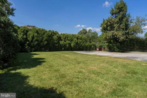 a view of a field with a trees in the background