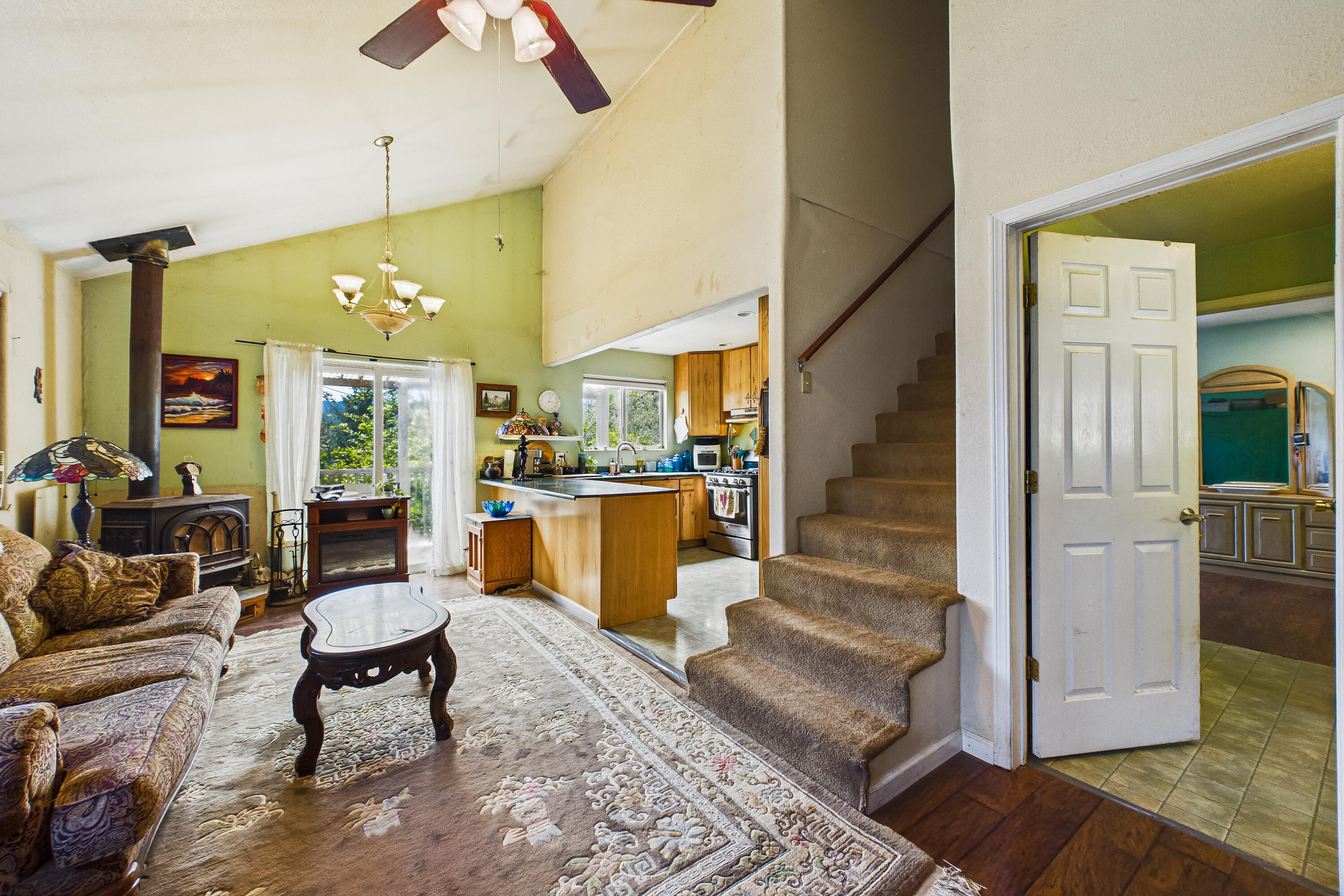 12600 Briceland Road Whitethorn, CA 95589 - Photo 19 of 111