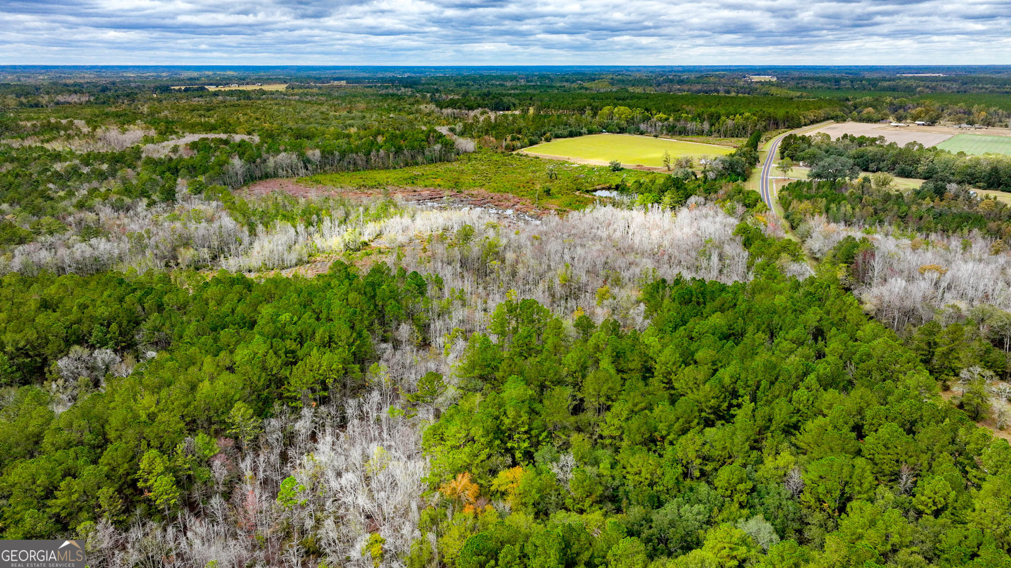 0 Hendrix Bridge Road Claxton, GA 30417 - Photo 12 of 19