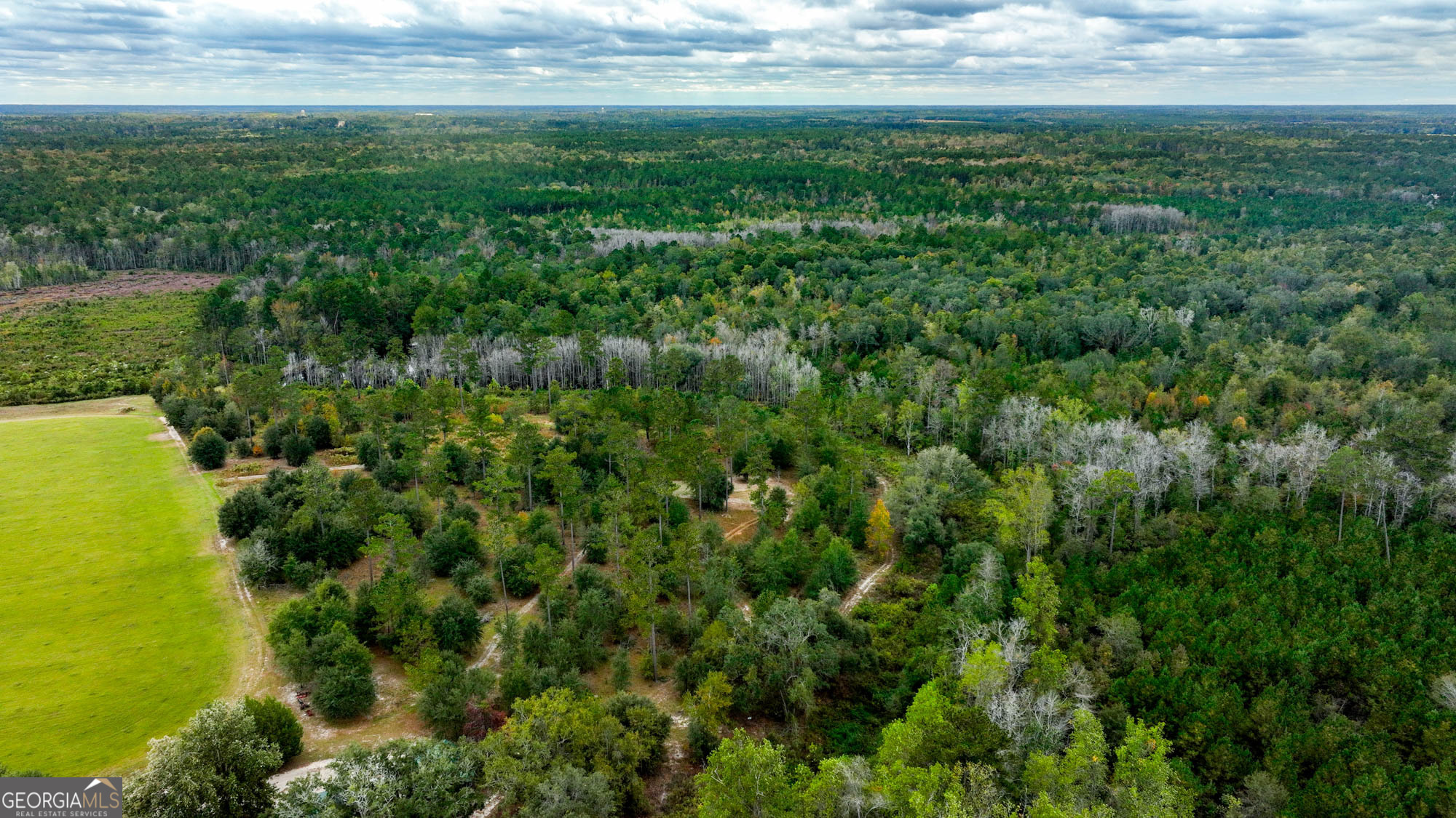 0 Hendrix Bridge Road Claxton, GA 30417 - Photo 13 of 19 a view of yard with ocean view