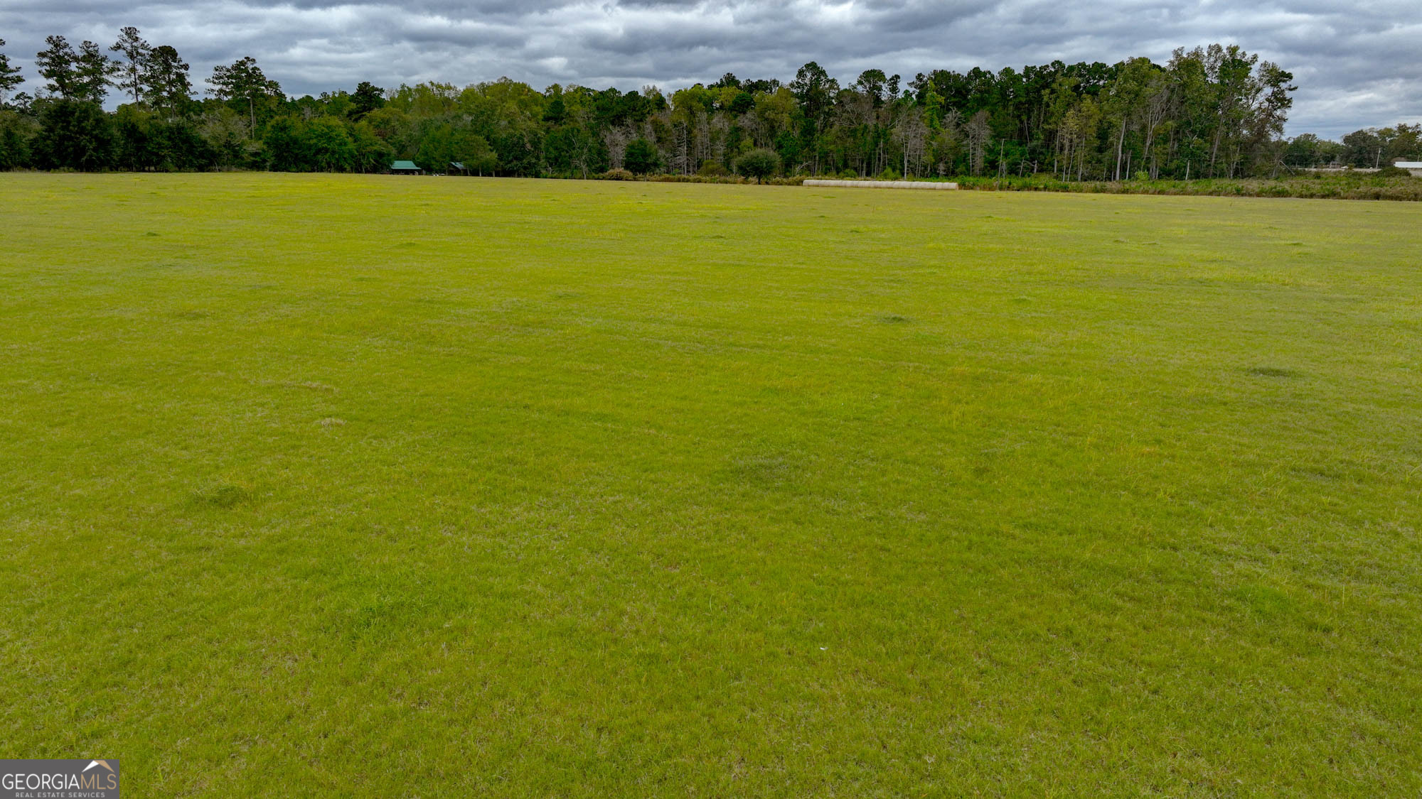 0 Hendrix Bridge Road Claxton, GA 30417 - Photo 14 of 19 a view of an ocean from a yard