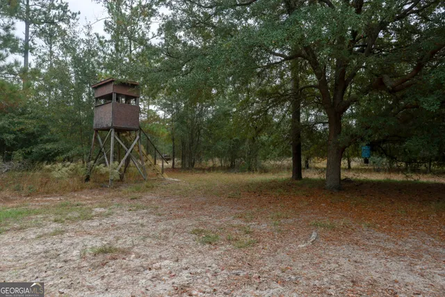a view of a yard with a tree