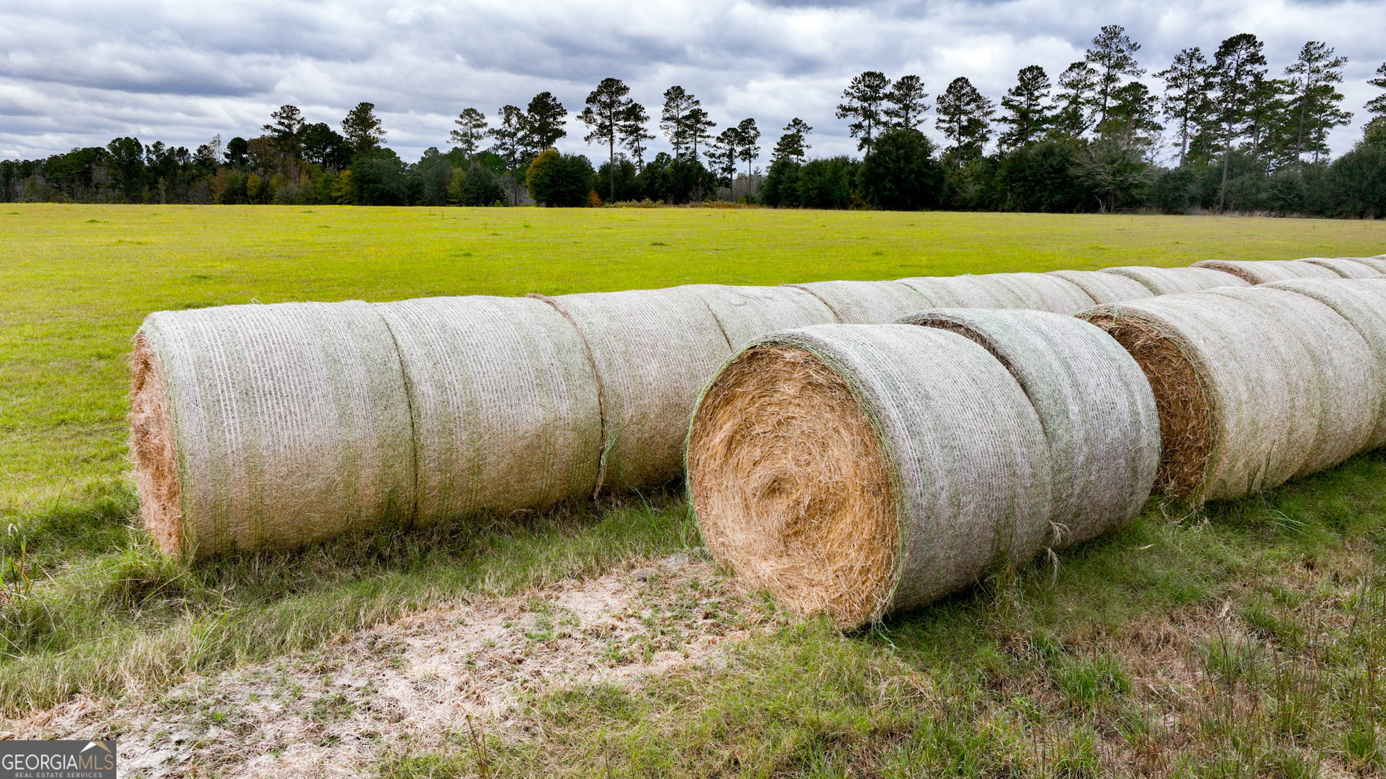 0 Hendrix Bridge Road Claxton, GA 30417 - Photo 15 of 19 a view of a swimming pool and a yard in back