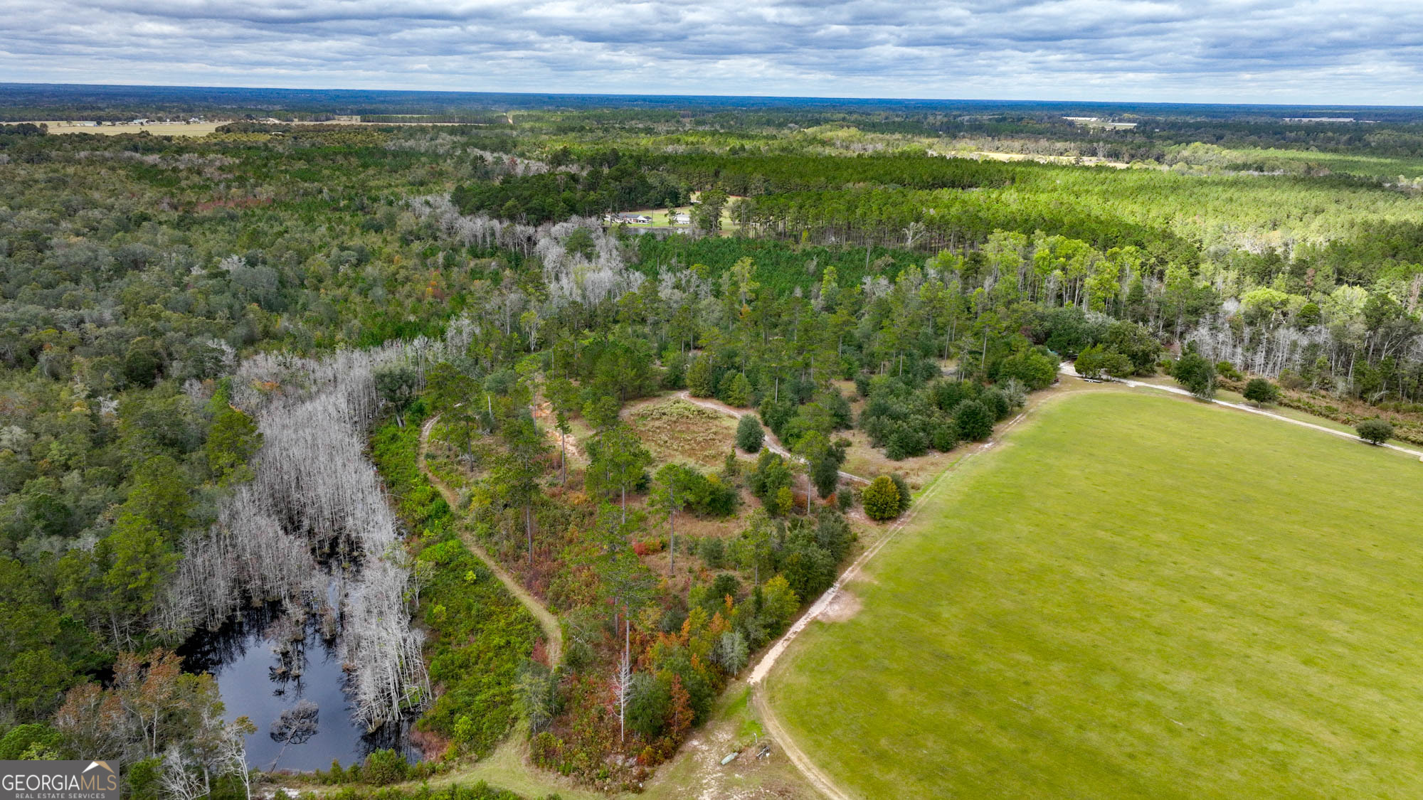 0 Hendrix Bridge Road Claxton, GA 30417 - Photo 2 of 19 a view of a swimming pool from a yard