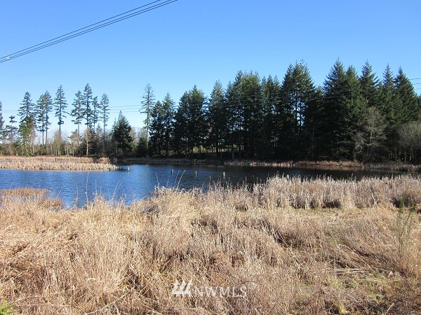 4941 140th Avenue Southwest Rochester, WA 98579 - Photo 1 of 1 a view of lake with green space