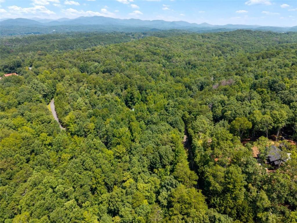 Lot26 Oak Rdg Way Ellijay, GA 30536 - Photo 18 of 40 Gallery Image 18