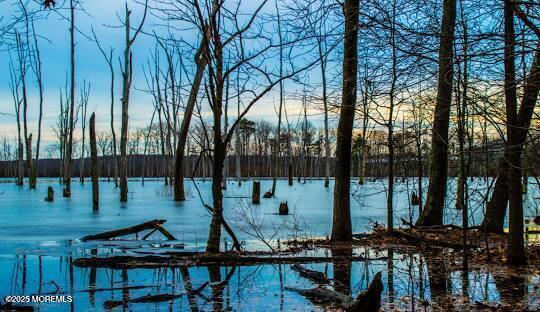 3 Diamond Lane Howell, NJ 07731 - Photo 43 of 43 a view of a chairs and table in patio
