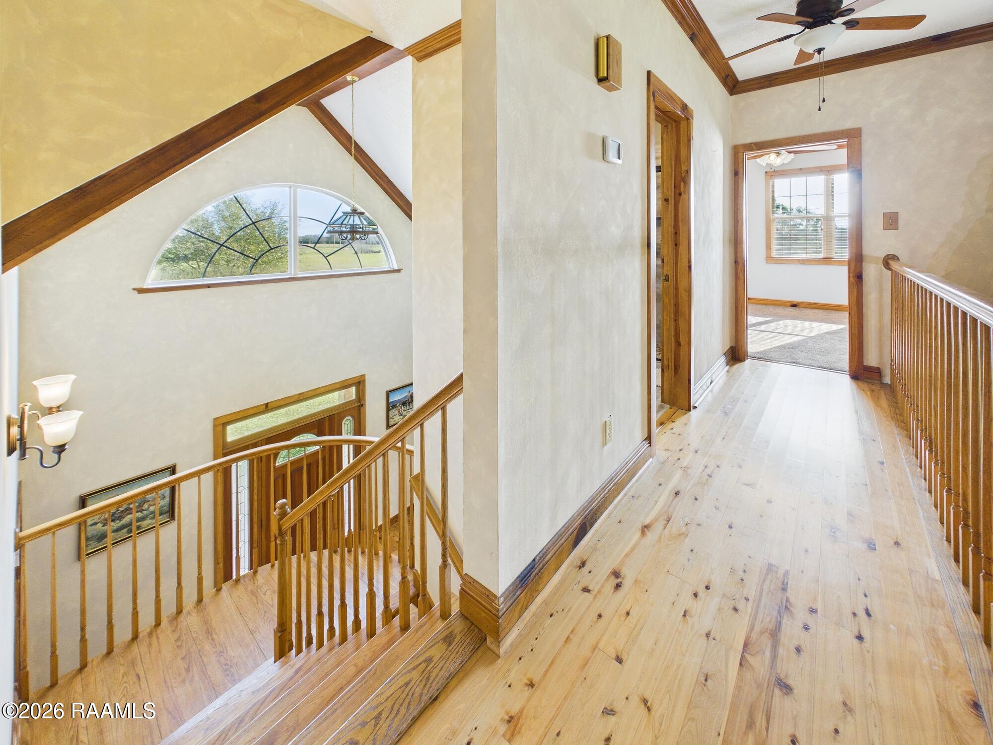 3530 Opelousas Road Ville Platte, LA 70586 - Photo 28 of 56 CAM06258G6-PR0050-STILL007