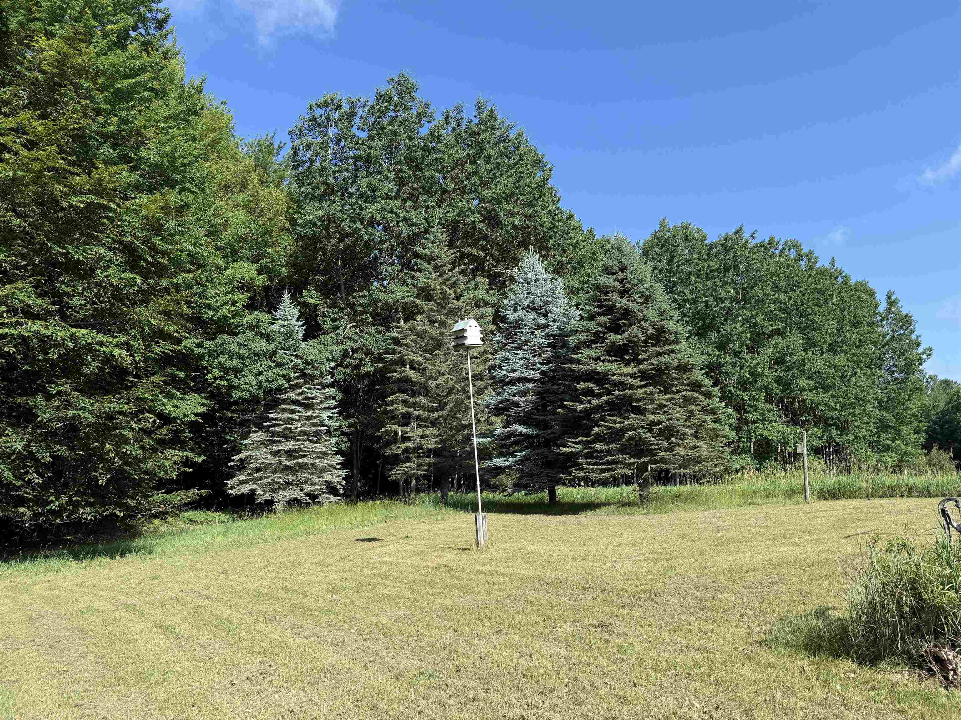 3910 South Vandermeulen Road McBain, MI 49657 - Photo 9 of 43