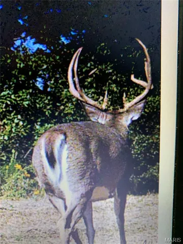 $872,981 | Undisclosed Address, Knox City, MO 63446