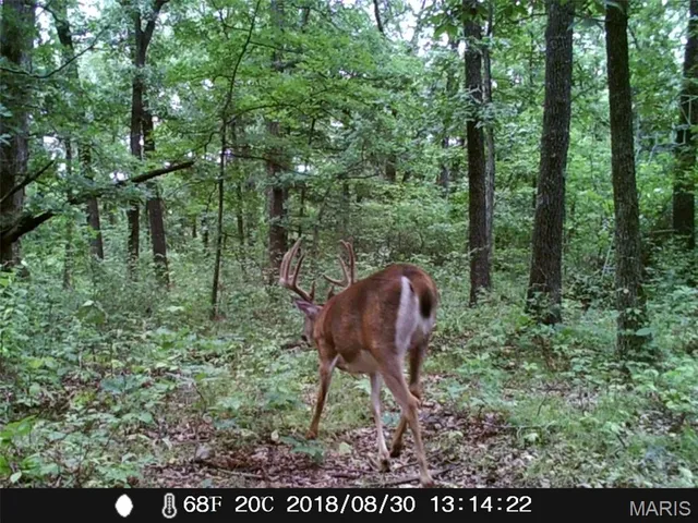 $872,981 | Undisclosed Address, Knox City, MO 63446