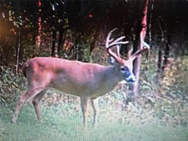 $872,981 | Undisclosed Address, Knox City, MO 63446