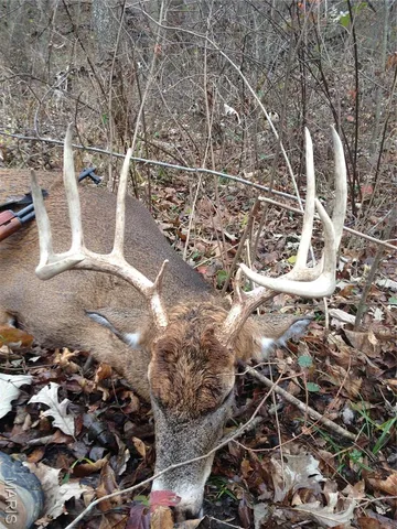 $872,981 | Undisclosed Address, Knox City, MO 63446