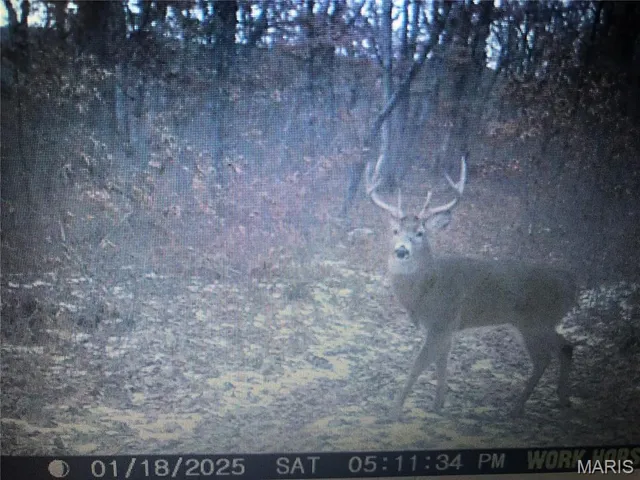 $872,981 | Undisclosed Address, Knox City, MO 63446