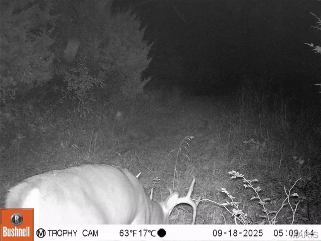 $872,981 | Undisclosed Address, Knox City, MO 63446