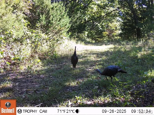 $872,981 | Undisclosed Address, Knox City, MO 63446