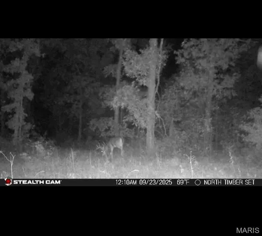 $872,981 | Undisclosed Address, Knox City, MO 63446