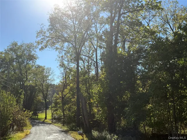 a view of a forest with trees in front of it