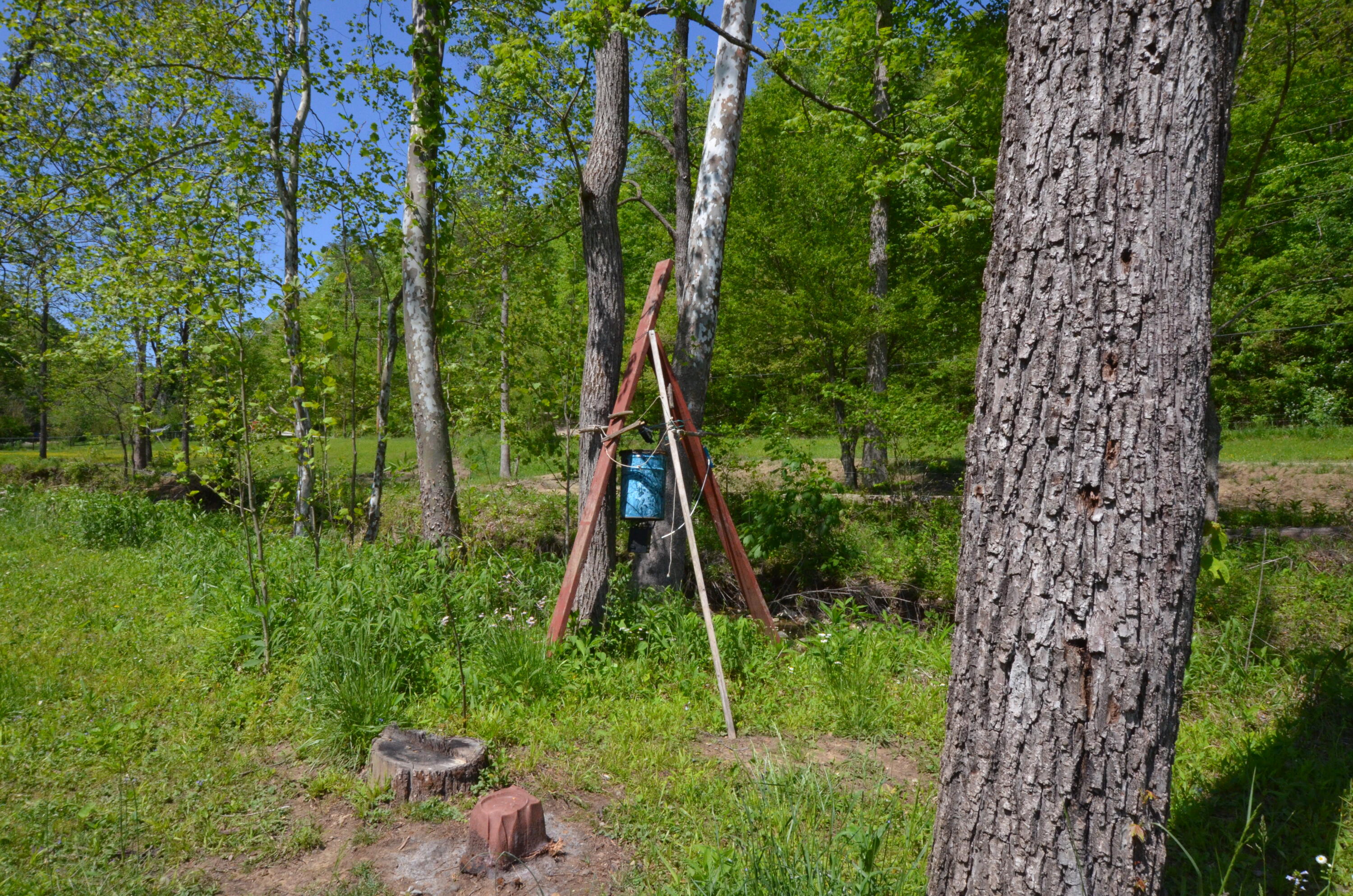 3425 Fitchburg Road Ravenna, KY 40472 - Photo 71 of 76 Deer feeder!