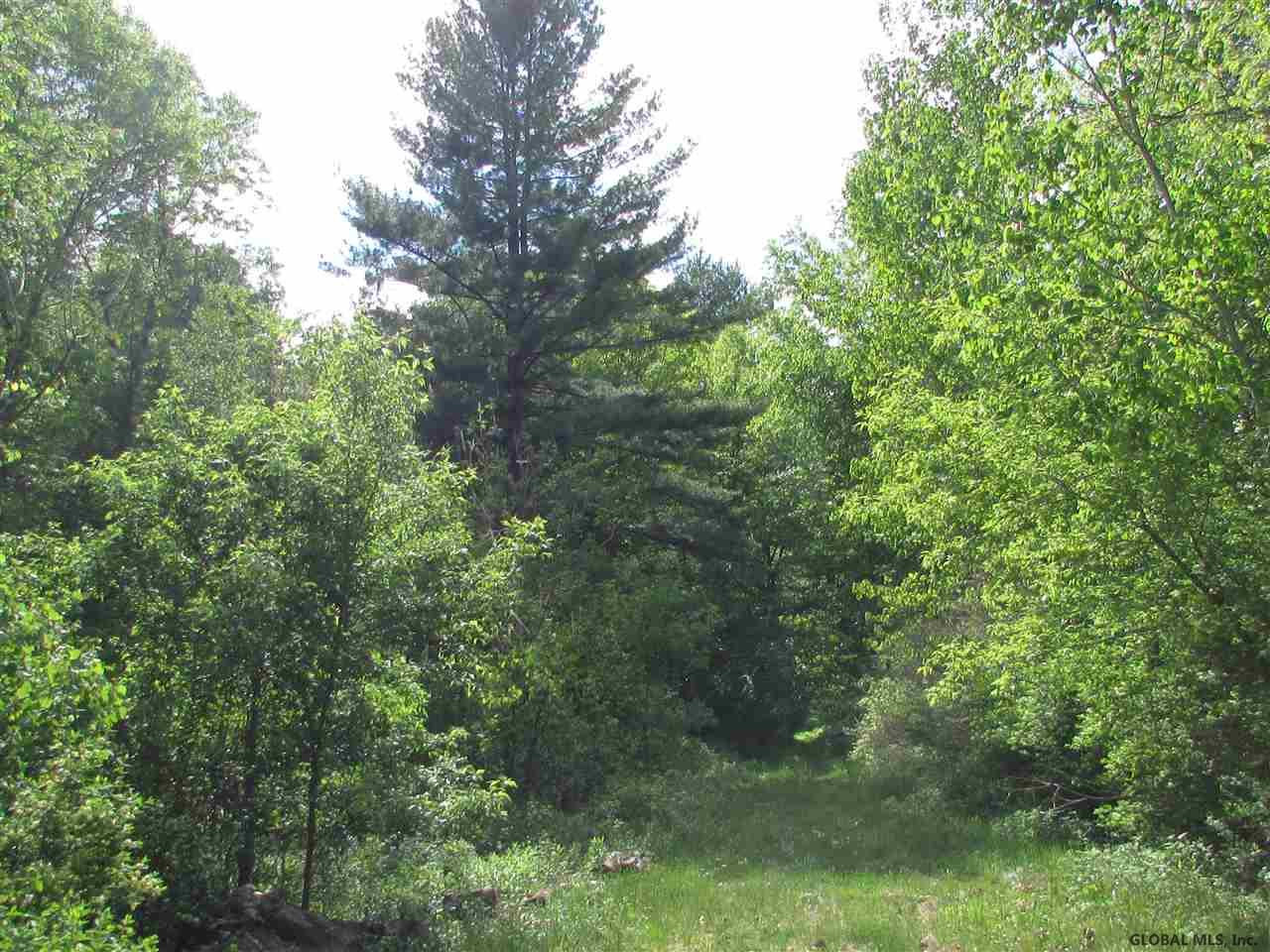 0 Ny Rt 67 Hoosick, NY 12089 - Photo 1 of 6 Photo 1