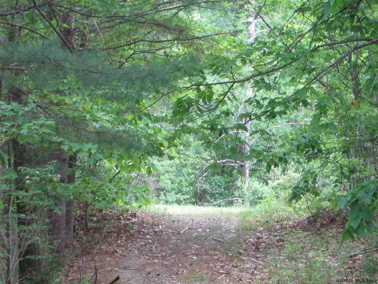0 Ny Rt 67 Hoosick, NY 12089 - Photo 3 of 6 Photo 3