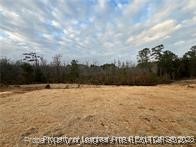 268 Brickhill Drive Raeford, NC 28376 - Photo 18 of 21 a view of a yard