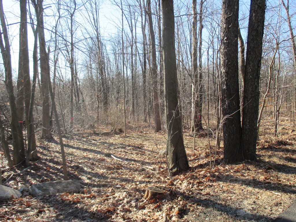 Lot 2 North Common Road Westminster, MA 01473 - Photo 1 of 3 Gallery Image 1