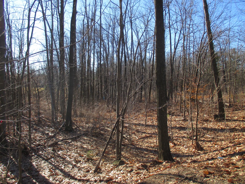 Lot 2 North Common Road Westminster, MA 01473 - Photo 2 of 3 Gallery Image 2
