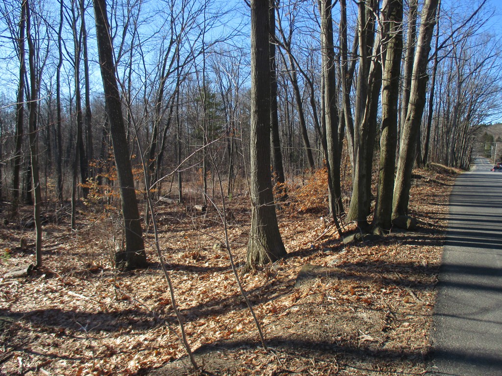 Lot 2 North Common Road Westminster, MA 01473 - Photo 3 of 3 Gallery Image 3