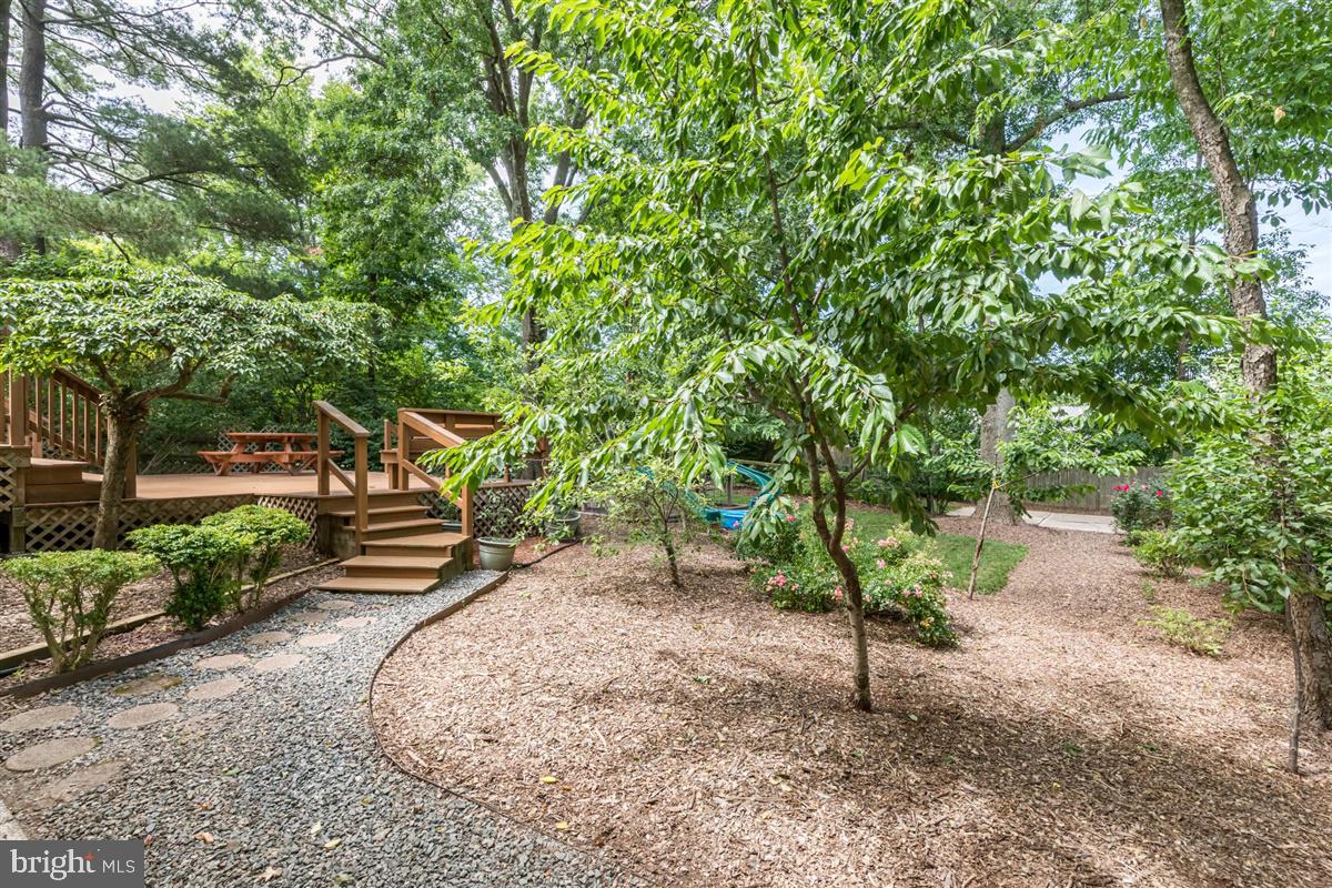 88 Harris Road Princeton, NJ 08540 - Photo 22 of 28 Rear Yard